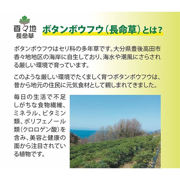 「長命草のチカラ」
