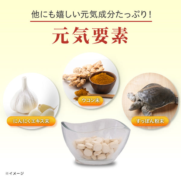 「琉球の源PLUS」