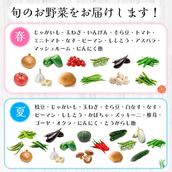 「旬の房総野菜詰め合わせ」