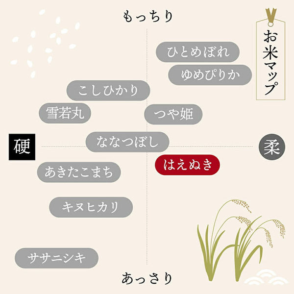 令和6年産「はえぬき 無洗米」