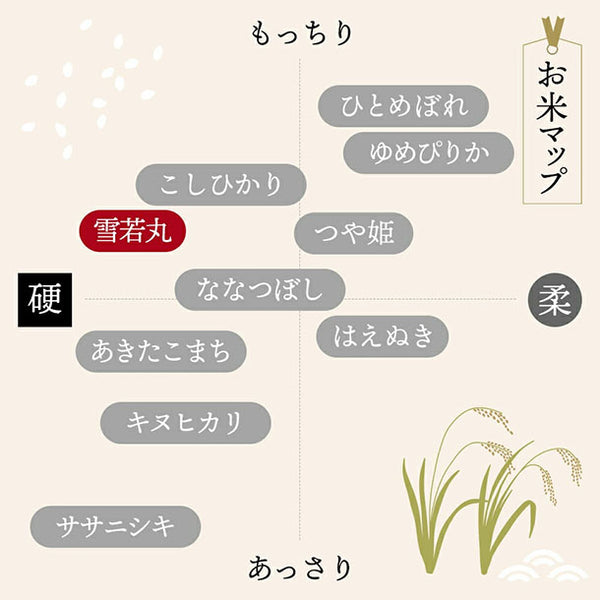 令和7年産「雪若丸」