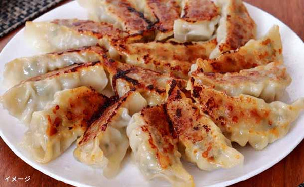 「元気豚 特製肉餃子」