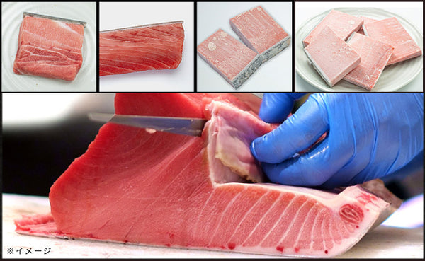「本マグロ訳あり中トロ」