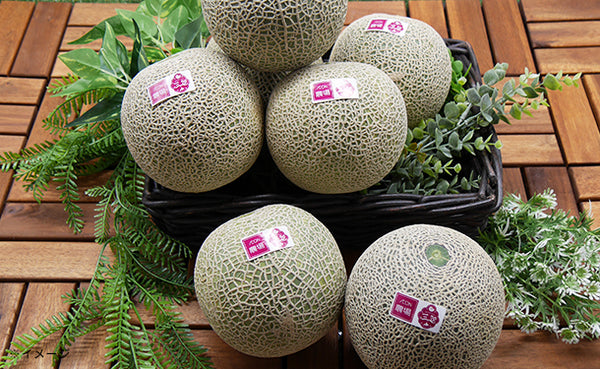 北海道三笠市産「赤肉メロン」3～5玉（約3.5kg）【クラチャレふるさとだより】