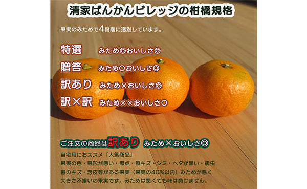 愛媛県産「訳ありみかん まどんな（愛果28号）」