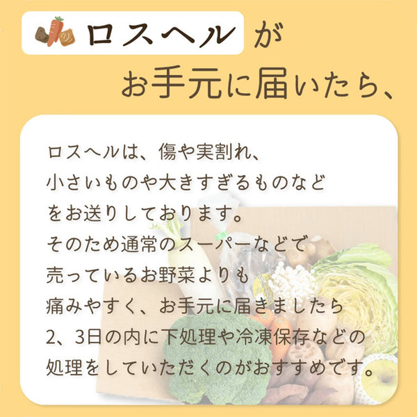 「ロスへル×Kuradashi わくわくロス野菜ボックス（S）」