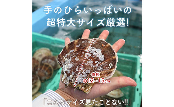 青森県産「むつ湾の活ほたて」2kg（12～14枚）