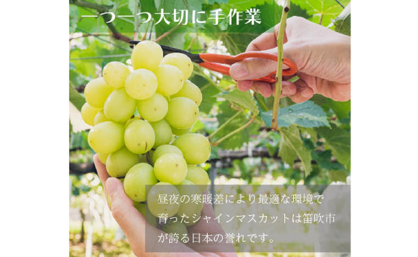 山梨県産「シャインマスカット」