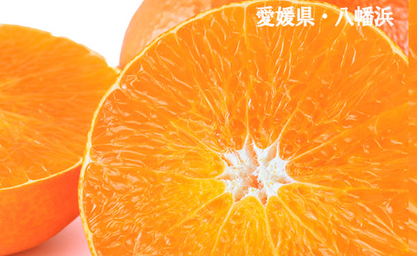 【BtoB】【木更津用】まどんな1kg