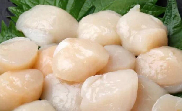 「イタヤ貝 小柱（生食用）」