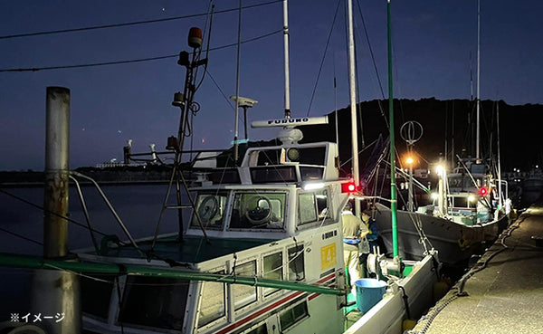 「すさみの一本釣り アカイカ」5～6杯【クラチャレふるさとだより】