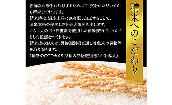 「令和7年産 山形県産 こしひかり」