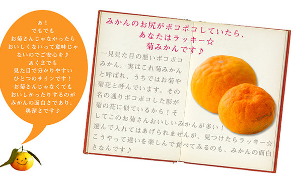 愛媛県産「吉田みかん（L～3L）」