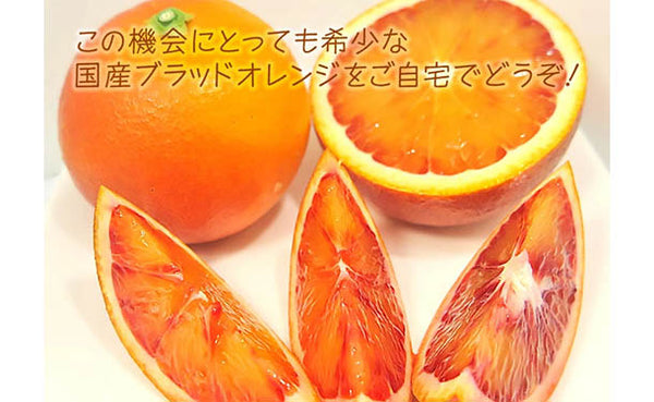 愛媛県産「訳ありブラッドオレンジ（2S-3L）」