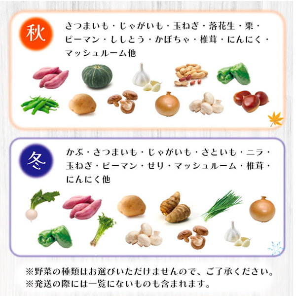 「旬の房総野菜詰め合わせ」