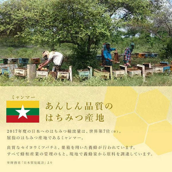 ミャンマー産「百花蜂蜜」