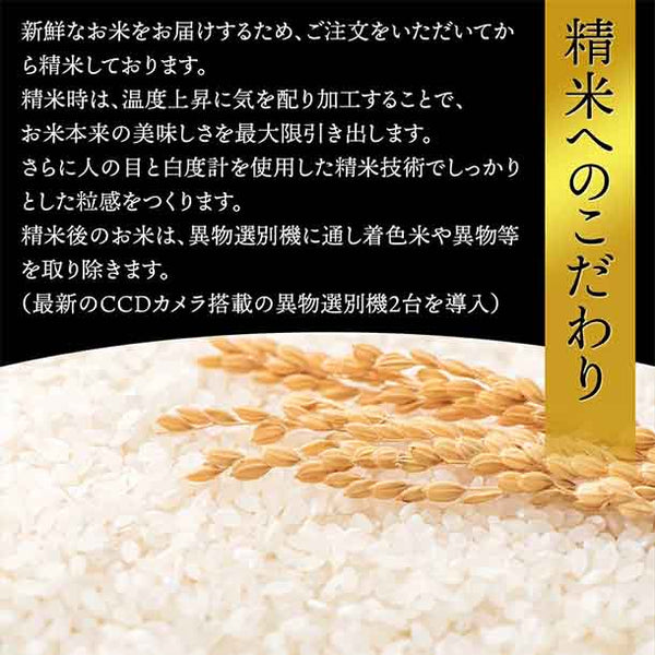 令和6年産「はえぬき 無洗米」