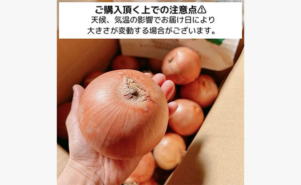 「青果専門仲卸が目利き・選果済み！つやつや玉ねぎ」