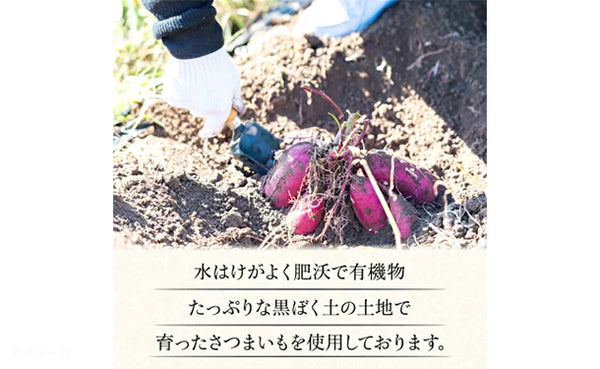 茨城県産「訳あり 干し芋」