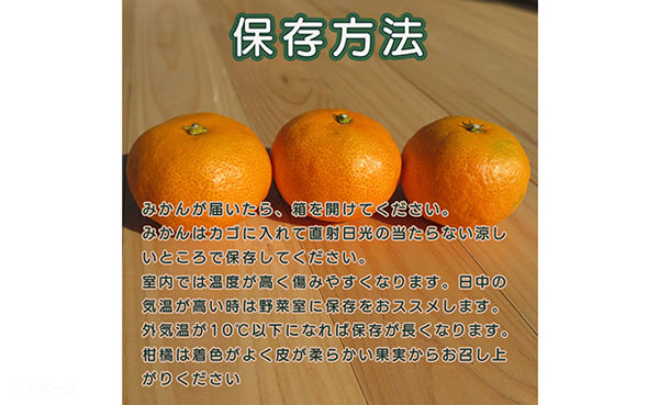 愛媛県産「訳ありポンカン（M-2L）」