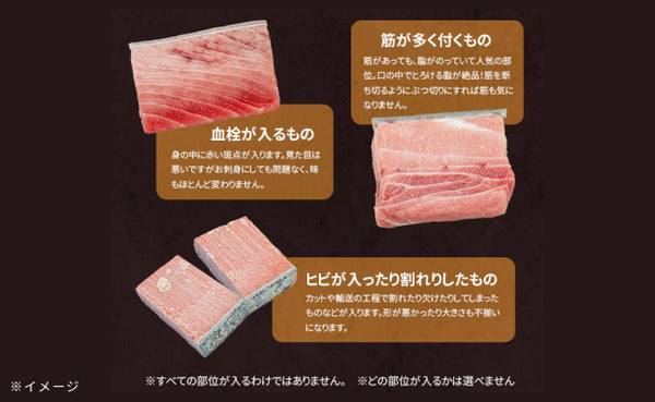 「本マグロ訳あり中トロ」