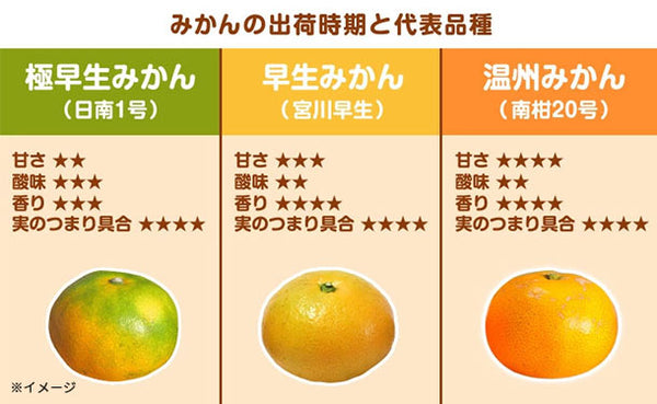 愛媛県産「秀品 極早生みかん（2S-S）」