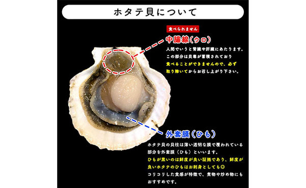 青森県産「むつ湾の活ほたて」2kg（12～14枚）