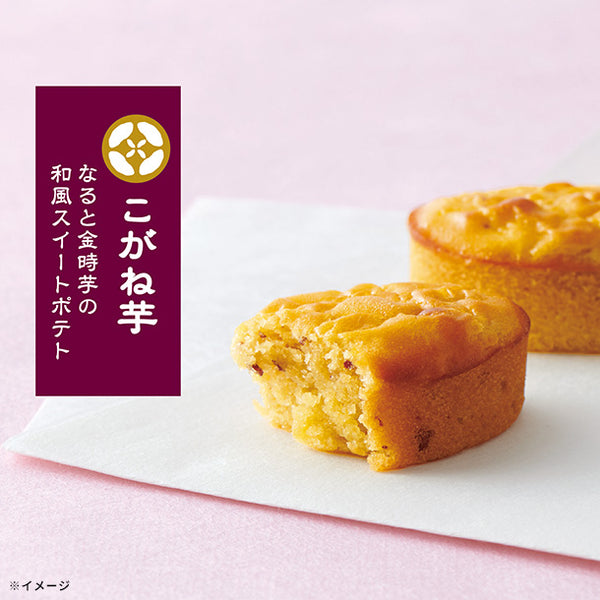 中島大祥堂「こがね芋 15号」