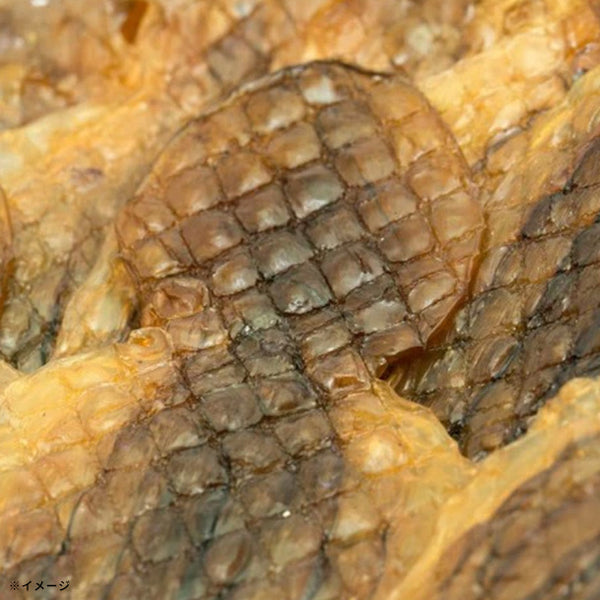 「タコ丸干し おつまみ 珍味」