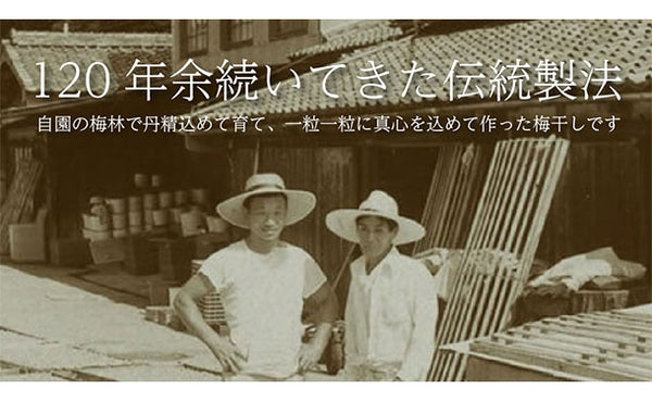 「紀州南高梅 つぶれ梅 Lサイズ はちみつ味（塩分7%）」
