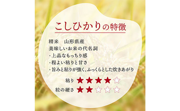 「令和7年産 山形県産 こしひかり」