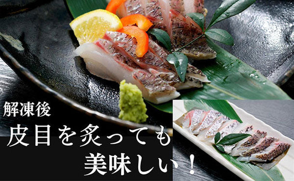 沼津産「マダイ皮目湯引き刺身」