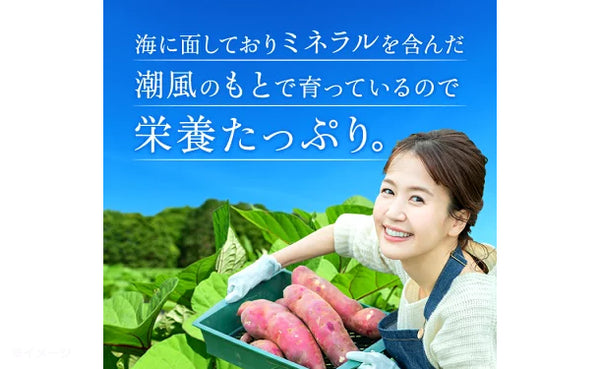 茨城県産「訳あり 干し芋」
