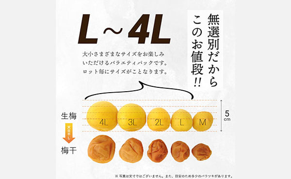 「紀州産南高梅 減塩 つぶれ梅 はちみつ味 梅干し 塩分3％」