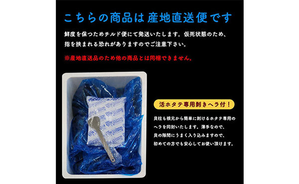 青森県産「むつ湾の活ほたて」2kg（12～14枚）