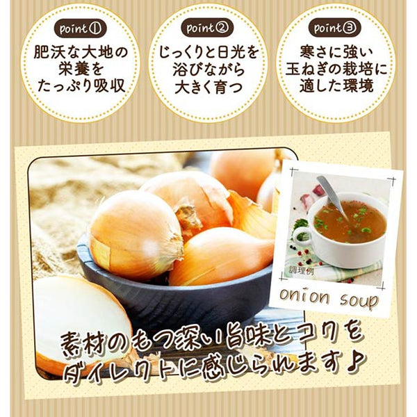 「北海道オニオンスープ しょうが風味」