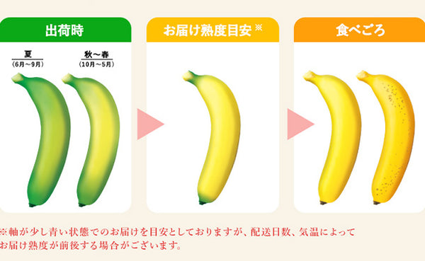【BtoB】【木更津用】スミフル訳ありバナナ15kg