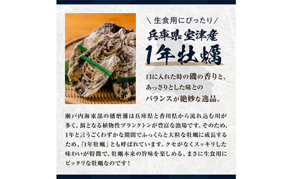 兵庫県産「生食用 超高圧加工殻付き冷凍かき 2Sサイズ」