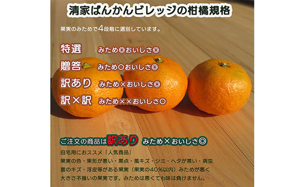 愛媛県産「訳あり 愛媛みかん（S-L）」