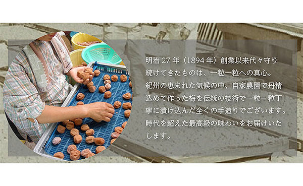 「紀州南高梅 つぶれ梅 Lサイズ しそ味（塩分8%）」