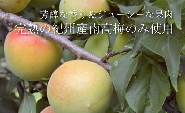 「紀州南高梅 つぶれ梅 Lサイズ しそ味・はちみつ味」