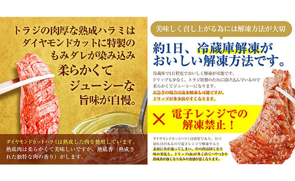 焼肉トラジ「ダイヤモンドカットハラミ」