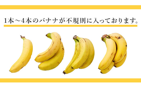 「業務用 訳あり甘熟王バナナ」