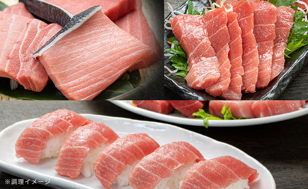 「本マグロ訳あり中トロ」
