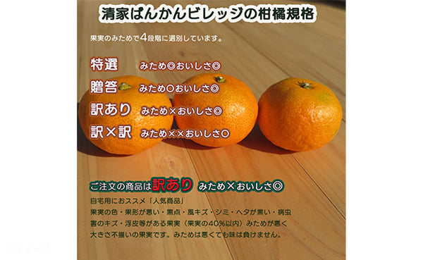 愛媛県産「おいしさ凝縮！訳あり小玉みかん（2S-S）」