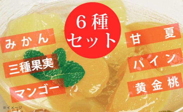 サンヨー堂「果実ゼリー 6種セット」