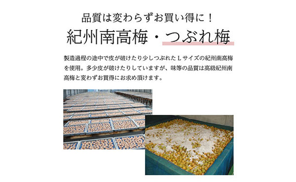 「紀州南高梅 つぶれ梅 Lサイズ しそ味・はちみつ味」