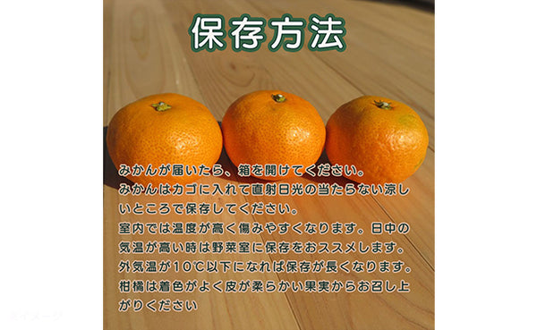 愛媛県産「おいしさ凝縮！訳あり小玉みかん（2S-S）」