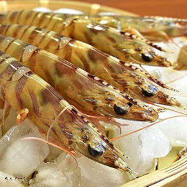「Kuradshi10周年限定 肉＆海鮮福袋 計10品」