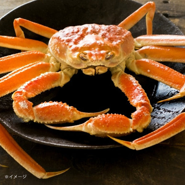 「Kuradshi10周年限定 肉＆海鮮福袋 計10品」